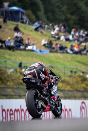  &copy; intactGP