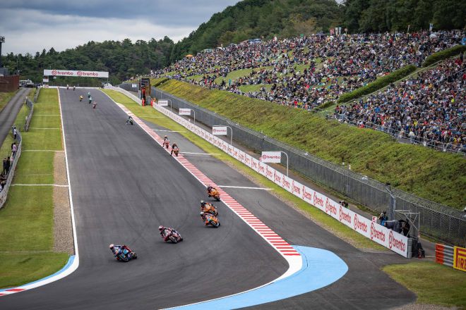 &copy; intactGP
