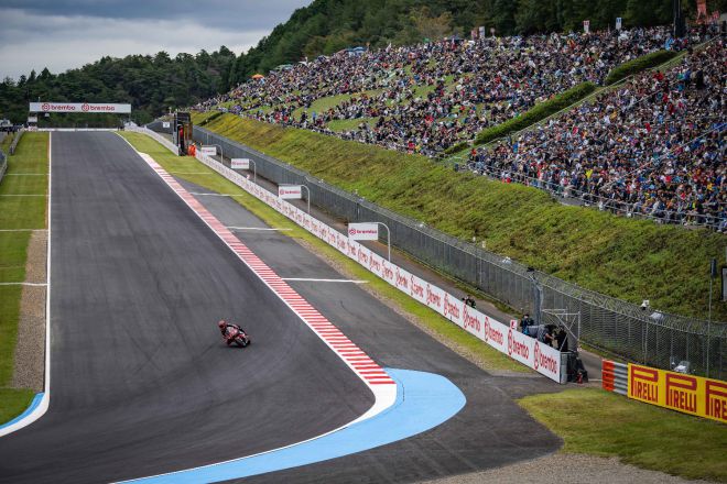  &copy; intactGP