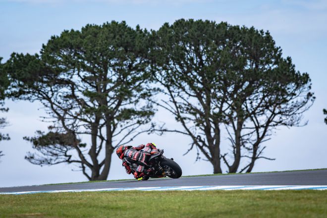  &copy; intactGP