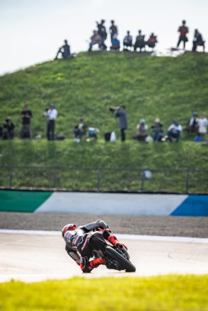  &copy; intactGP