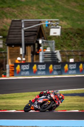 &copy; intactGP