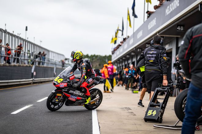  &copy; intactGP