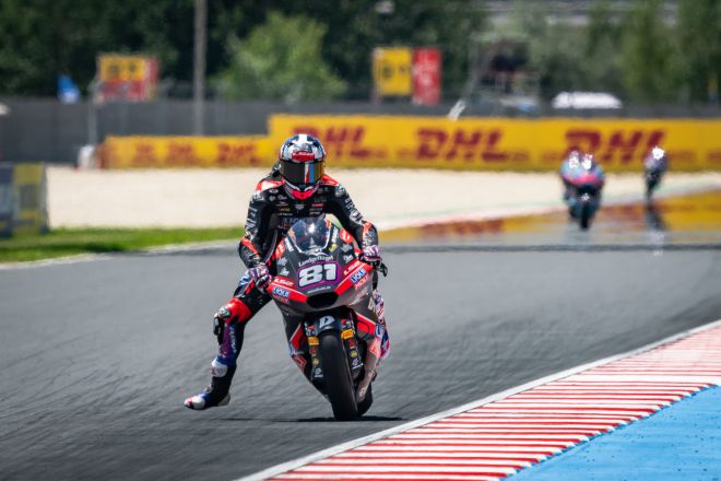 © intactGP