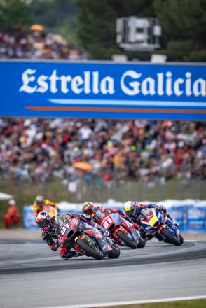  &copy; intactGP
