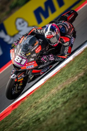  &copy; intactGP