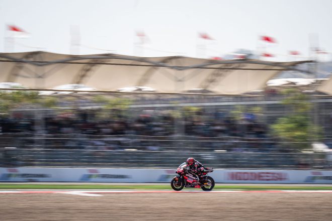 © intactGP