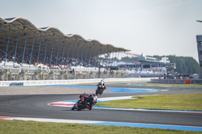  &copy; intactGP