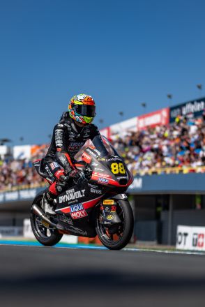  &copy; intactGP