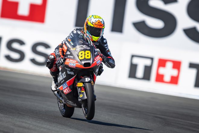  &copy; intactGP