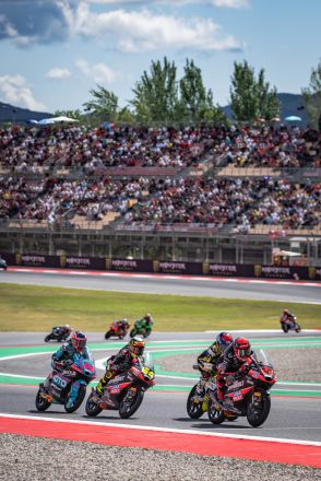  &copy; intactGP