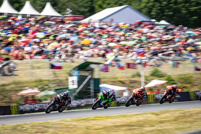 © intactGP