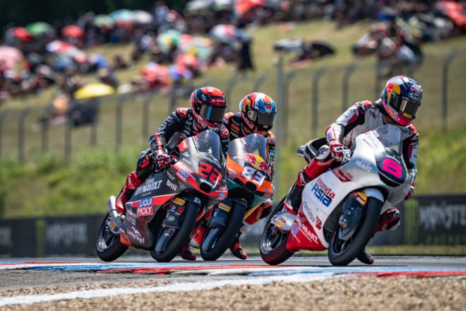 © intactGP