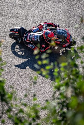 © intactGP