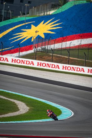 © intactGP