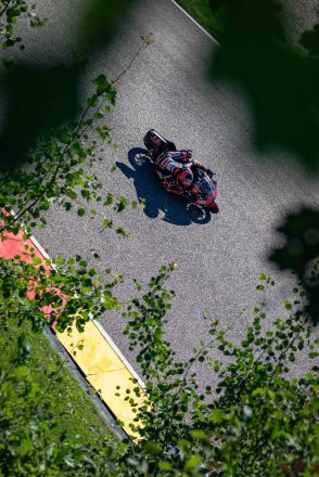  &copy; intactGP