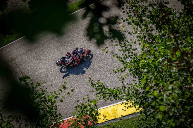  &copy; intactGP
